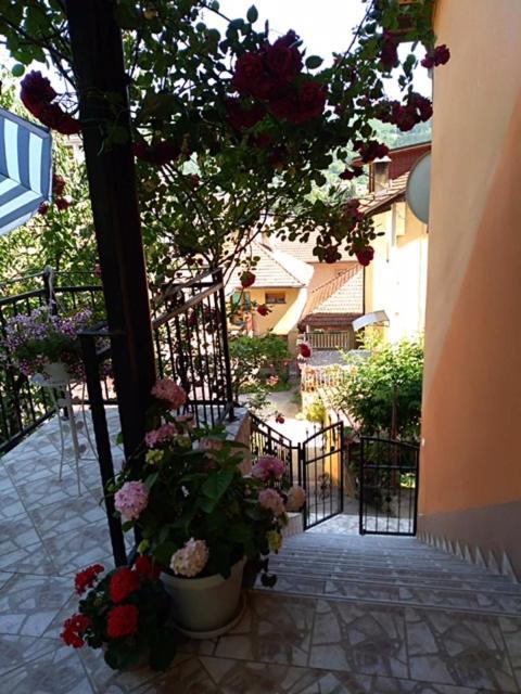 Gorazde-Centar Apartment Kültér fotó